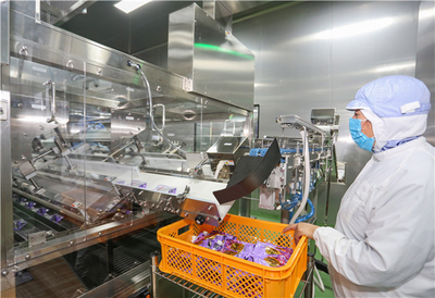 東元空調 以精密環境控制，賦能食品技術開發與安全生產