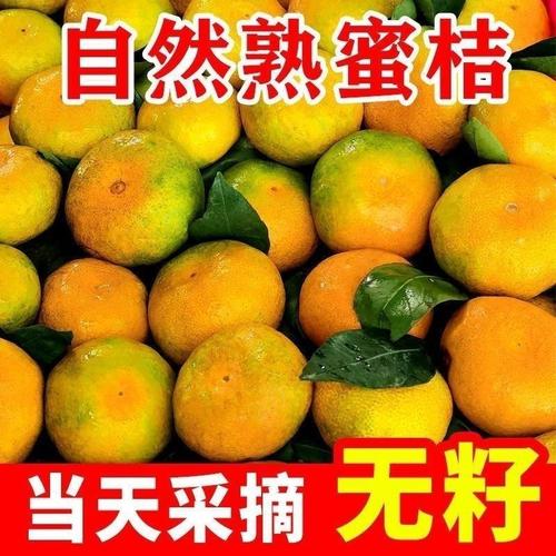 紅橘子水果盤點 從甜蜜上市到秋日果實的意義